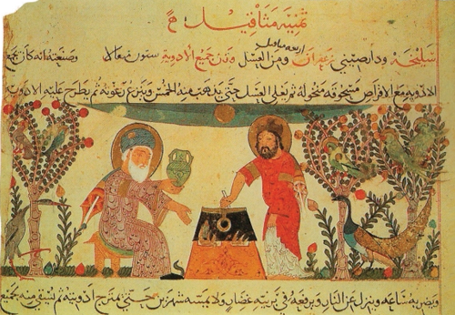 고대 페르시아에서 식물을 약용으로 이용하는 그림Healing with Herbs 발췌